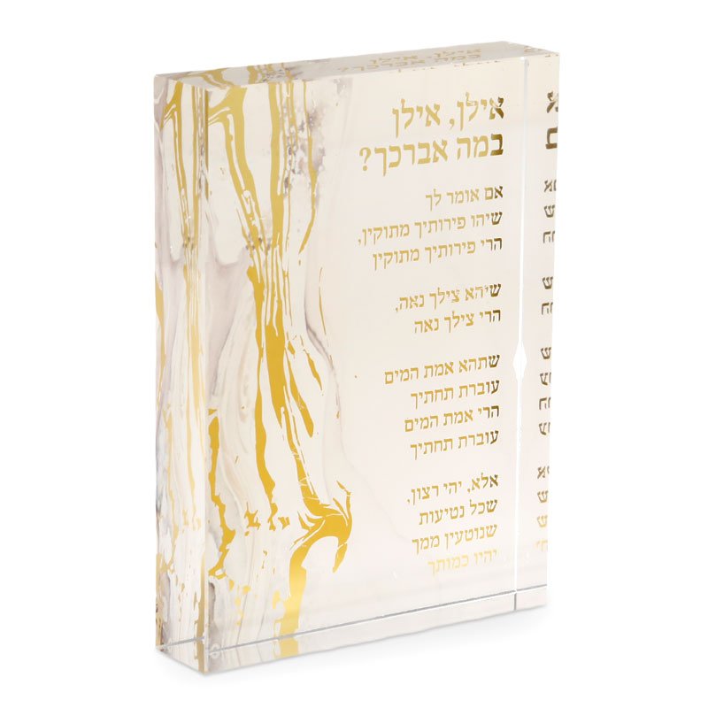 מעמד אקריליק בולד אילן אילן