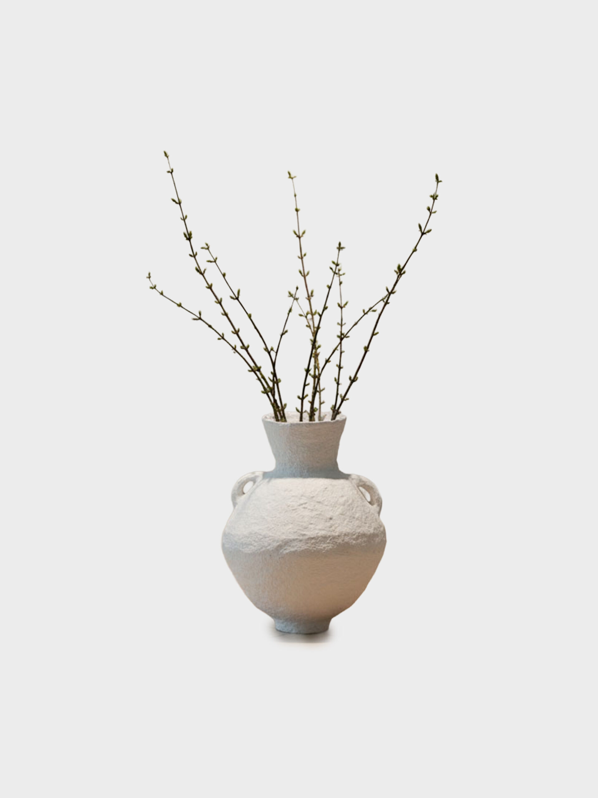 וזה — דגם PAPER MACHE 213688 — תמונת מוצר