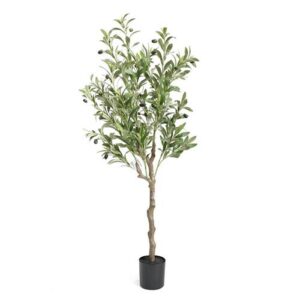 עציץ עץ זית 520 עלים 120 ס״מ